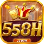 558H