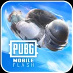 PUBG MOBILE FLASH
